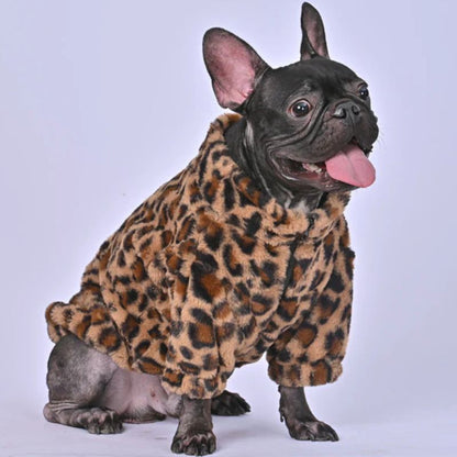 leopard french bulldog jacket