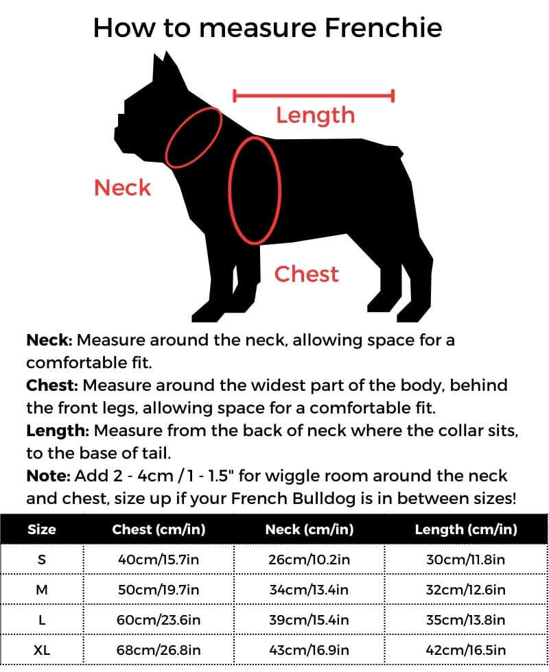 Lion French Bulldog Costume size guide