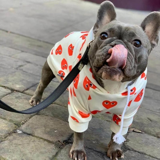 frenchie space shop lovelygremlin french bulldog hoodie