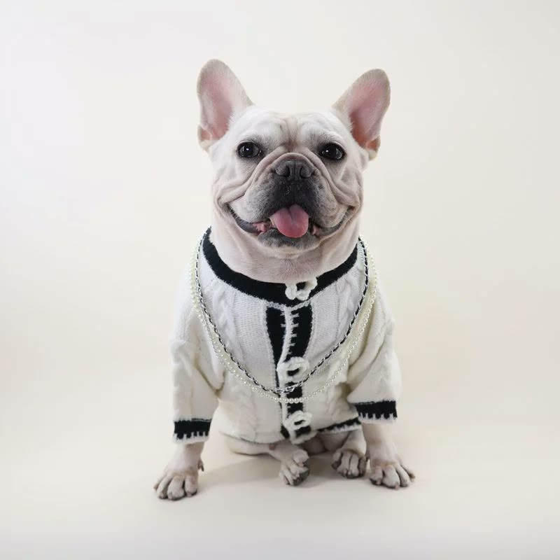 frenchie space shop mademoiselle french bulldog sweater