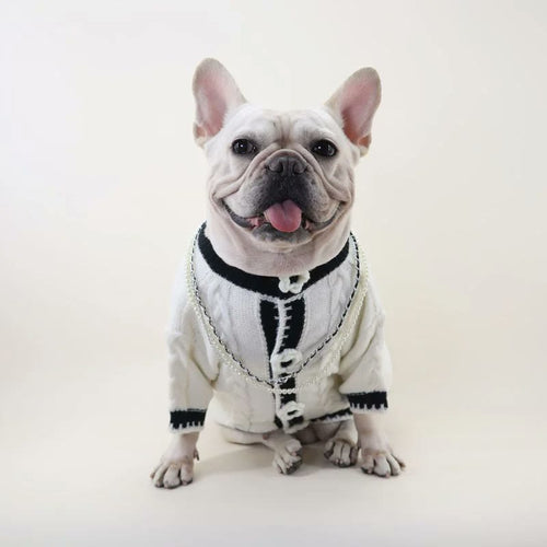 frenchie space shop mademoiselle french bulldog sweater