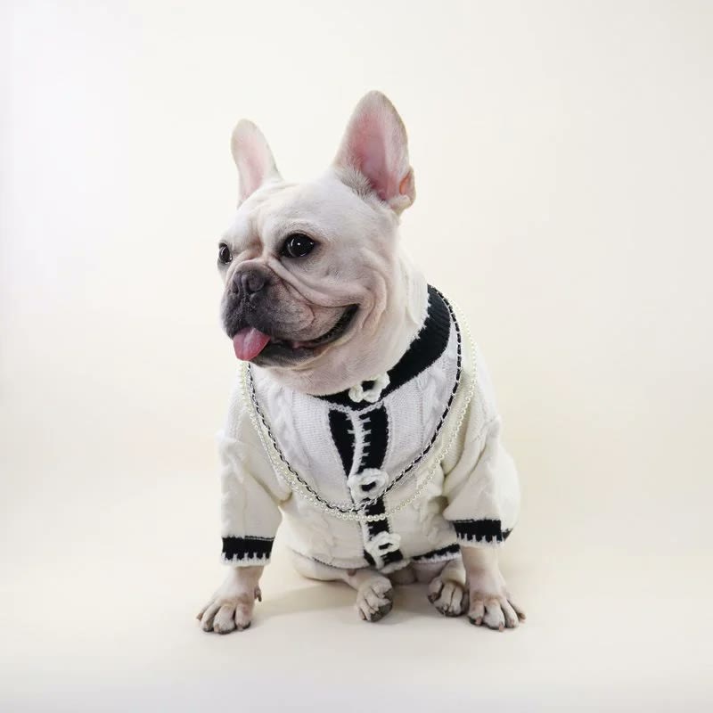 frenchie space shop mademoiselle french bulldog sweater