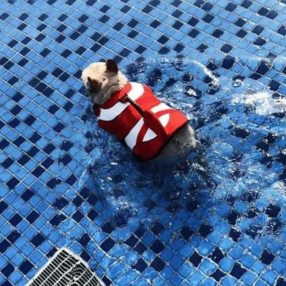 frenchie space shop nemo french bulldog life jacket