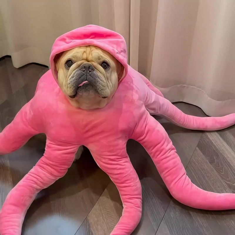 octopus french bulldog costume