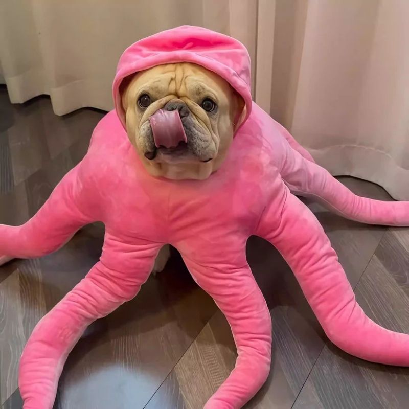 octopus french bulldog costume