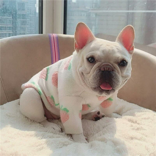 frenchie space shop peachypooch french bulldog sweater