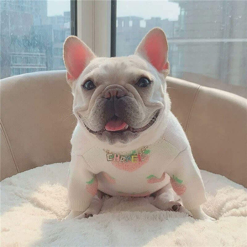 frenchie space shop peachypooch french bulldog sweater