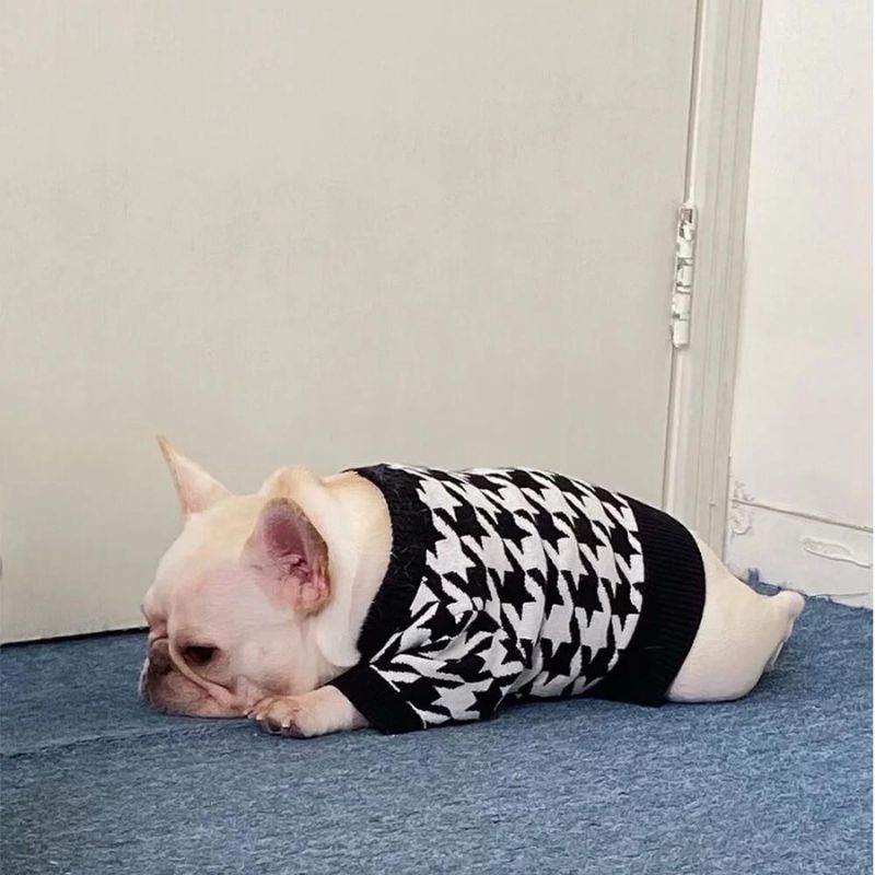frenchie space shop pepito french bulldog sweater