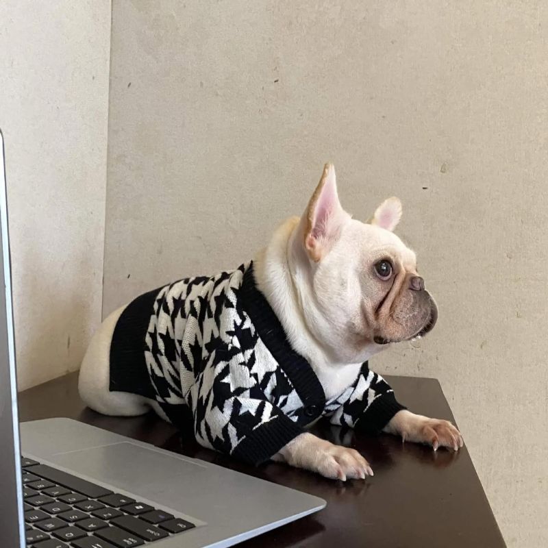 frenchie space shop pepito french bulldog sweater