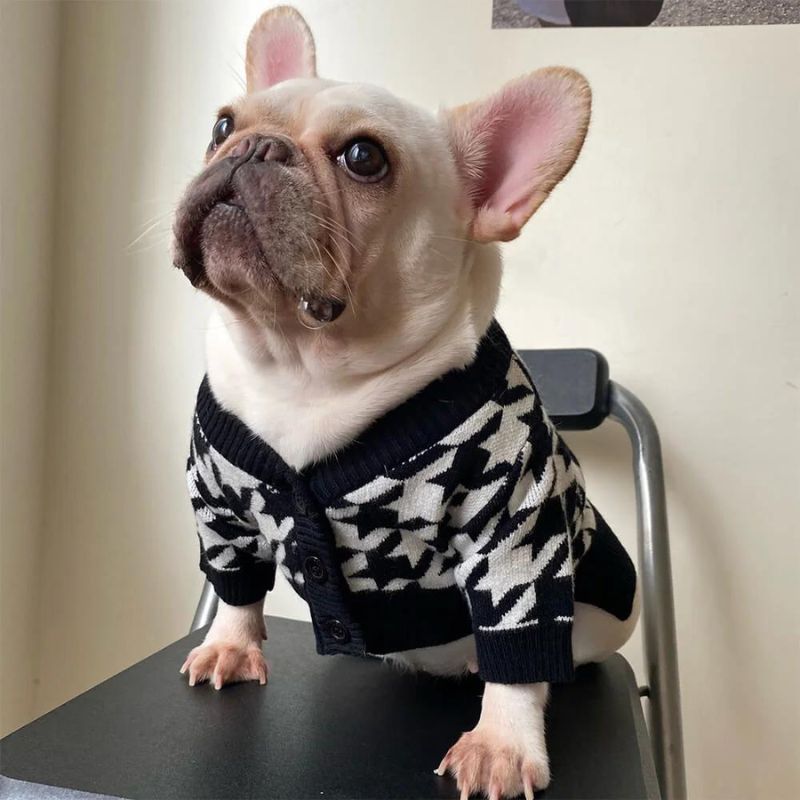frenchie space shop pepito french bulldog sweater
