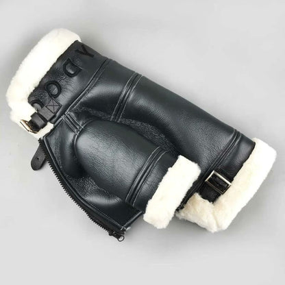 frenchie space shop pilot french bulldog jacket