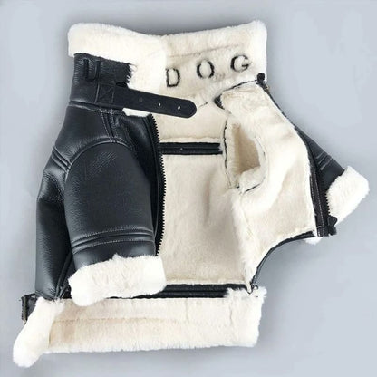 frenchie space shop pilot french bulldog jacket