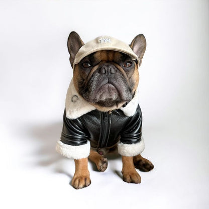 pilot french bulldog jacket