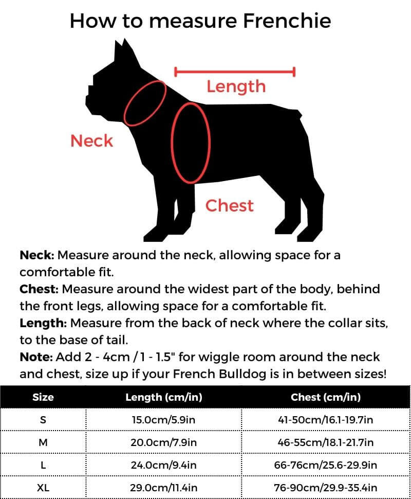 Pirate French Bulldog Costume size guide