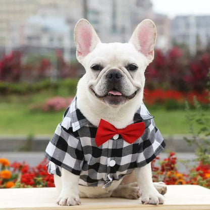 frenchie space shop plaid elegance frenchie shirt