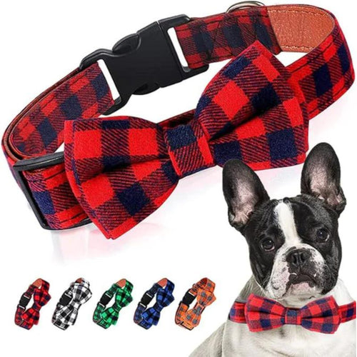 frenchie space shop plaid french bulldog collar