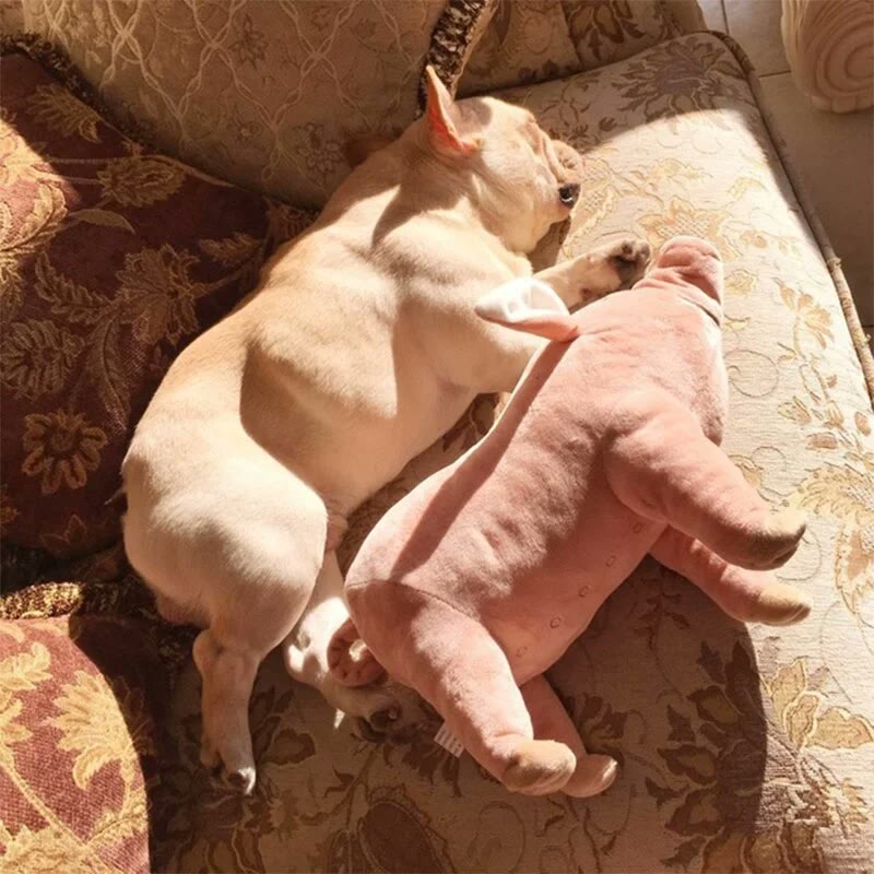 frenchie space shop plushypig french bulldog toy