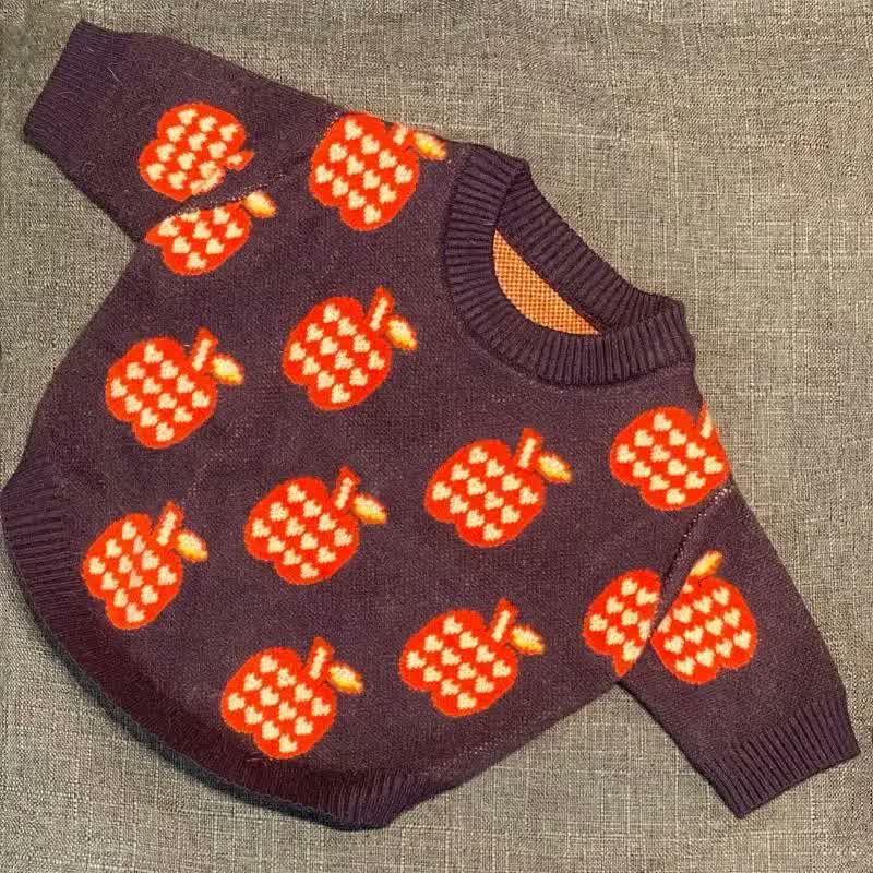 frenchie space shop pomme french bulldog sweater