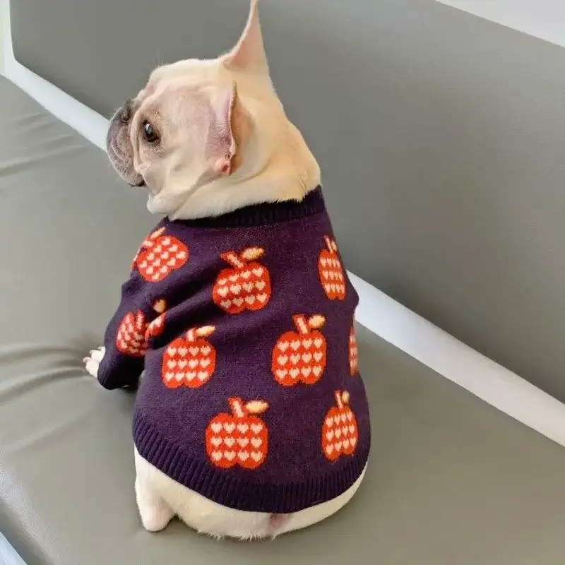 frenchie space shop pomme french bulldog sweater