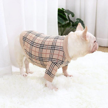 frenchie space shop poshberry french bulldog sweater