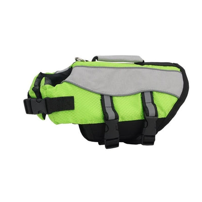 reflective frenchie life jacket