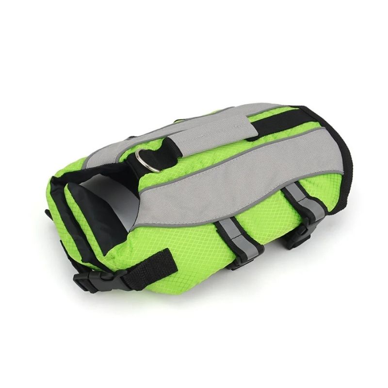 reflective frenchie life jacket