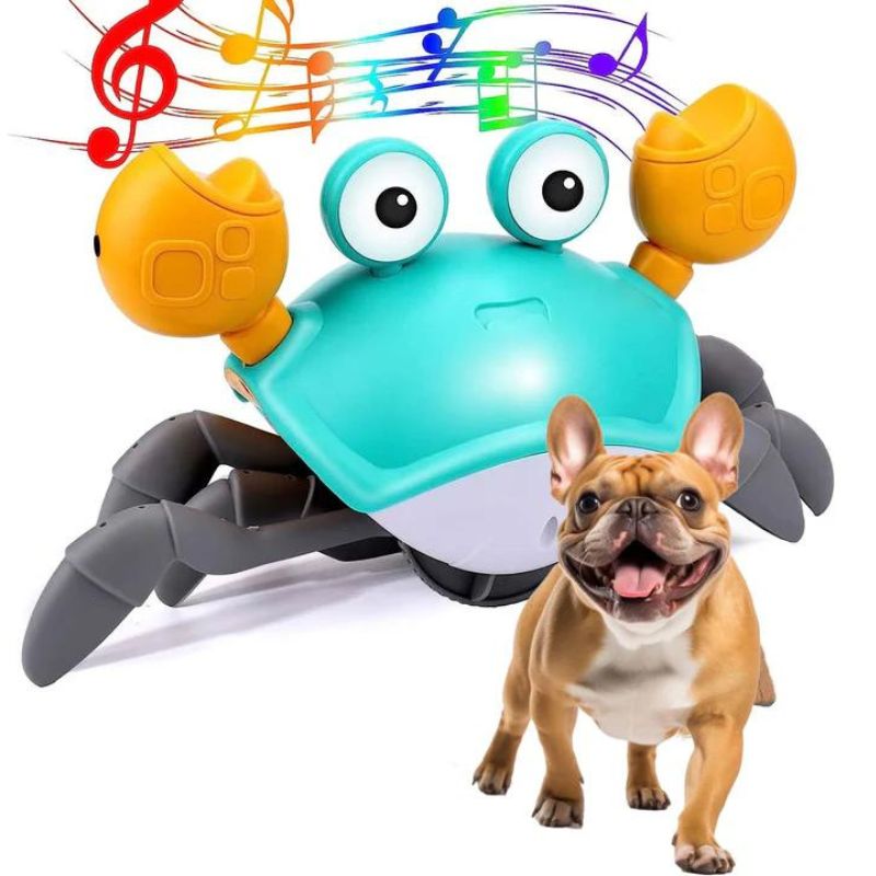 frenchie space shop running crab frenchie toy