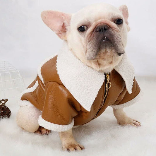 frenchie space shop sandytouch french bulldog jacket