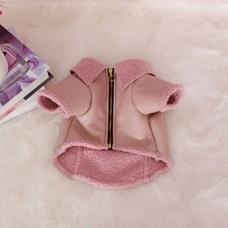 frenchie space shop sandytouch french bulldog jacket