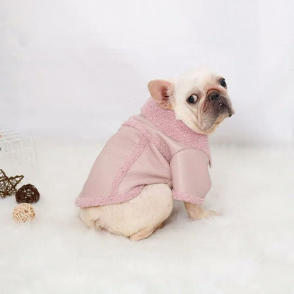 frenchie space shop sandytouch french bulldog jacket