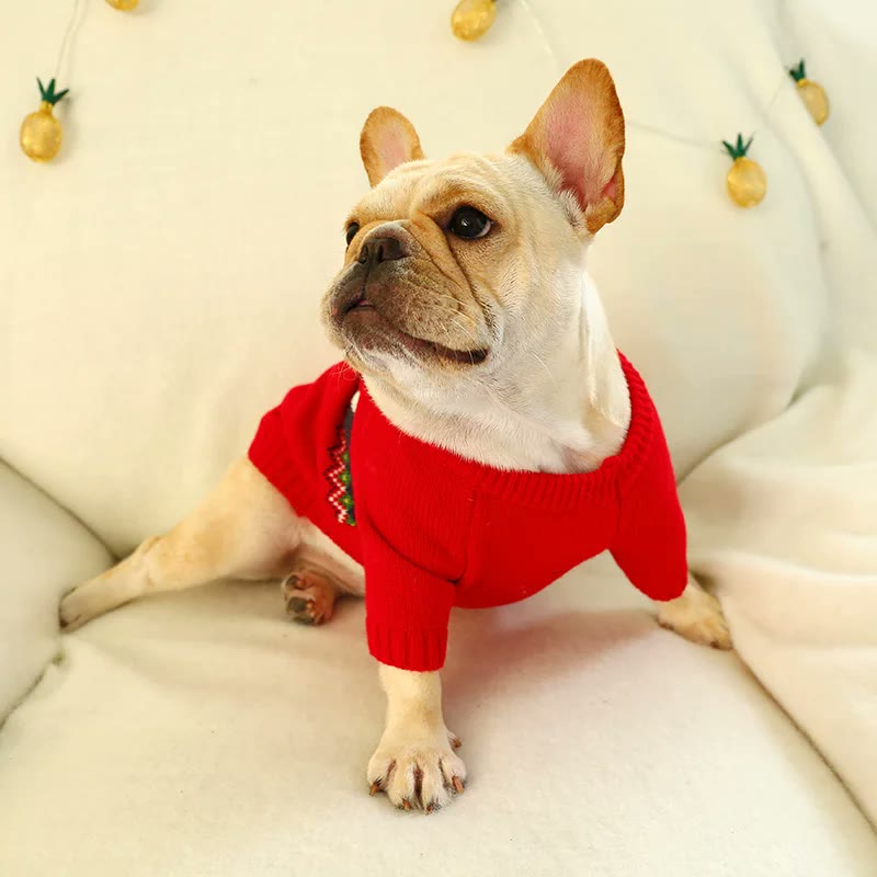 frenchie space shop santa frenchie sweater