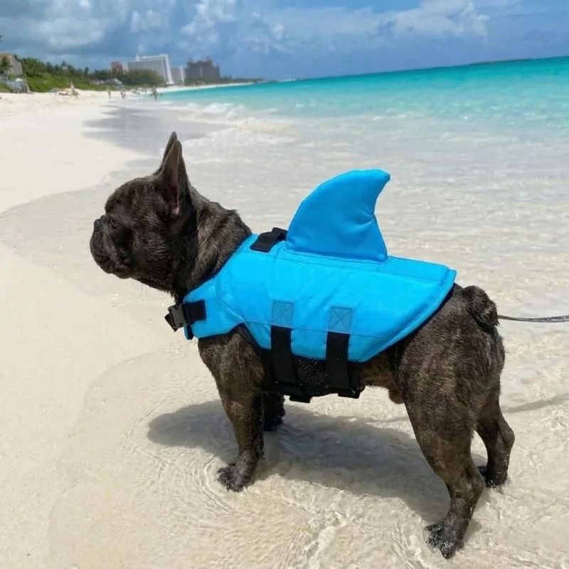 BlueSea French Bulldog Life Jacket