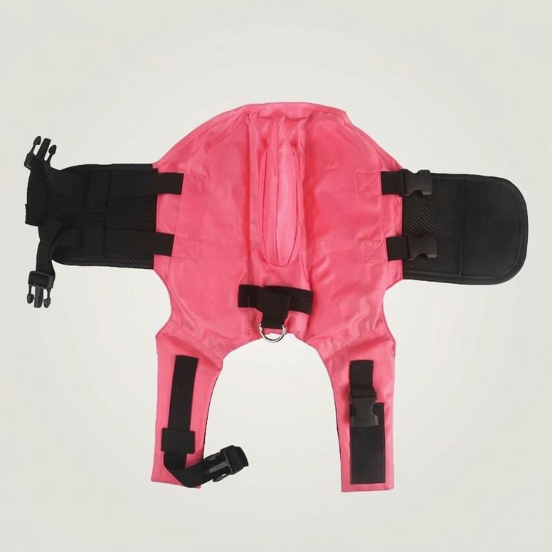 BlueSea French Bulldog Life Jacket