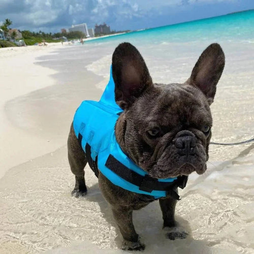 BlueSea French Bulldog Life Jacket