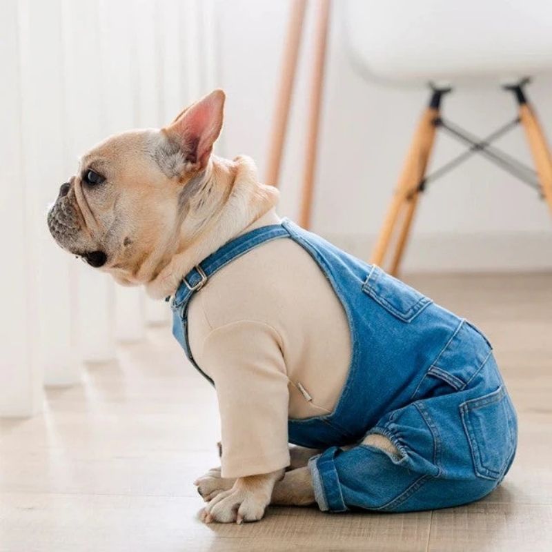 Denim French Bulldog Overalls