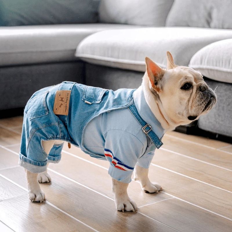 Denim French Bulldog Overalls