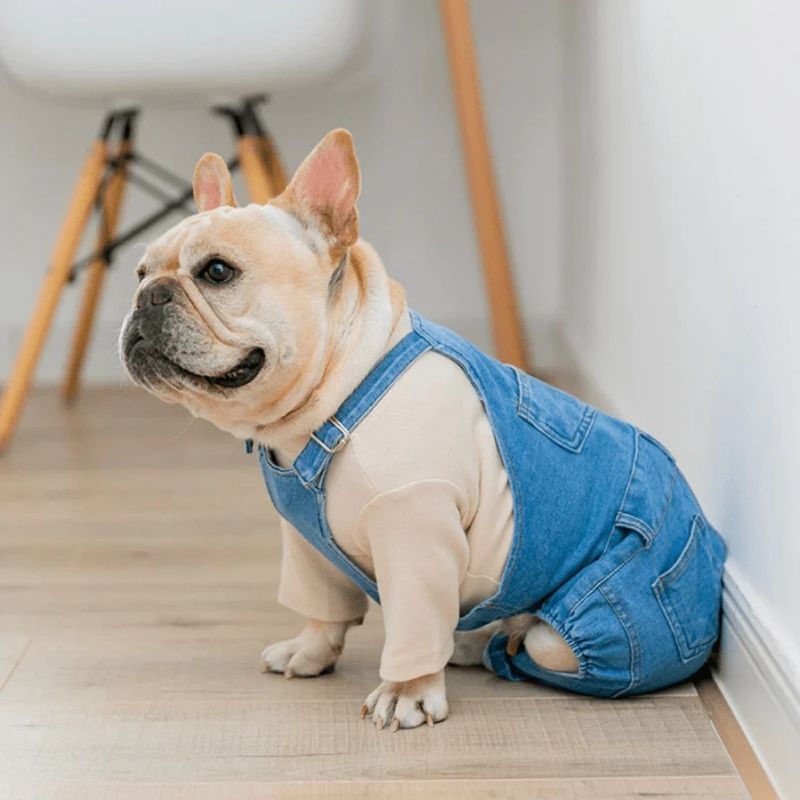 Denim French Bulldog Overalls