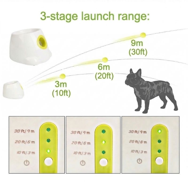 French Bulldog Fetch Mate