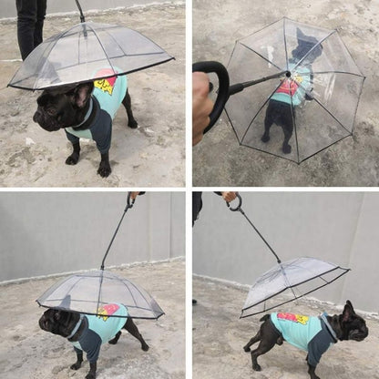 French Bulldog Leash Umbrella