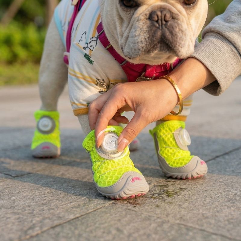 French Bulldog Mesh Sneakers