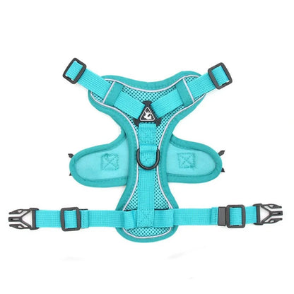 Mesh French Bulldog Harness & Leash