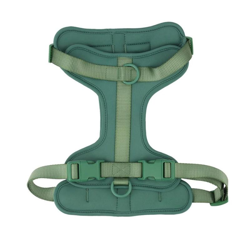 No-Pull French Bulldog Harness