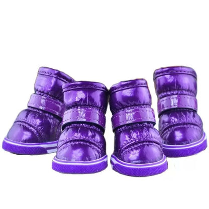 snow french bulldog boots