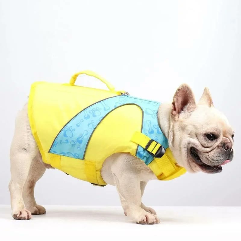 frenchie space shop splashy frenchie life jacket
