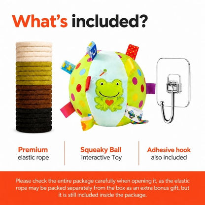 squeaky ball interactive frenchie toy