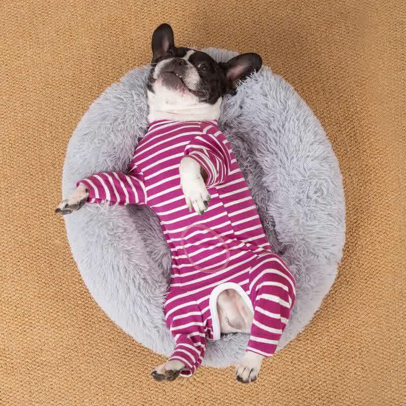 frenchie space shop striped french bulldog pajamas
