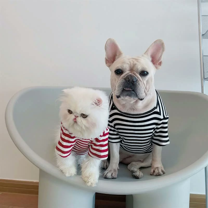 frenchie space shop striped french bulldog t-shirt