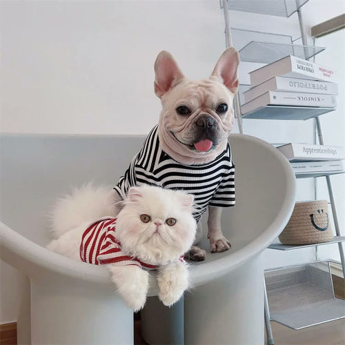 frenchie space shop striped french bulldog t-shirt