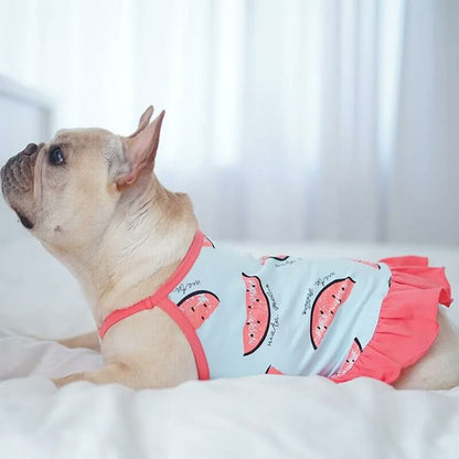 frenchie space shop summer slice frenchie top