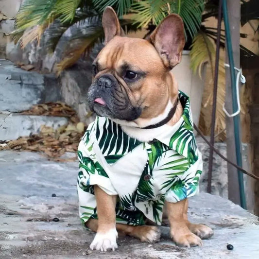 frenchie space shop sunsea french bulldog shirt